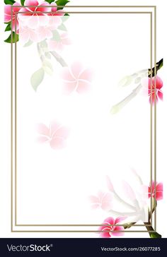 pink flowers with green leaves and gold frame on a white backgrounnd background