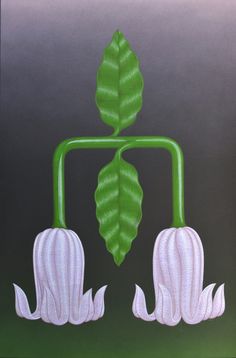 a painting of two white flowers and a green plant on a gray background with black border