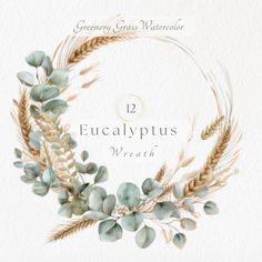 the 12 eucalypus wreath is shown in front of a watercolor background