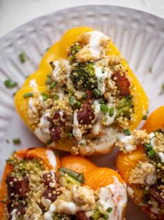 four stuffed peppers on a white plate topped with cheese and toppings, ready to be eaten