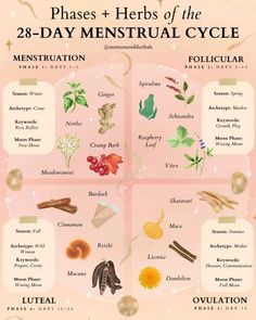 Food And Menstrual Cycle, Herbal Tea Cycle Syncing, Cycle Syncing Herbal Teas, Herbs For Cycle Syncing, Witchy Period Tips, Herbs Menstrual Cycle, Teas For Your Cycle, Herbs For Cycle Phases, Tea Menstrual Cycle