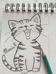 a pencil drawing of a cat with its mouth open