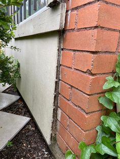 the corner of a brick building with ivy growing on it's side and an open window