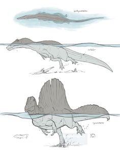 three different types of dinosaurs in the water