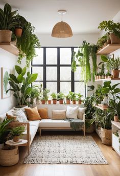 a living room filled with lots of plants and potted plants on the wall next to a window