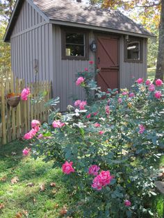 a garden shed with pink roses in the foreground and a wooden fence around it