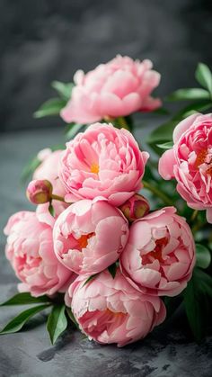 pink peonies with green leaves and water droplets on their petals are shown in this image