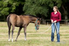 a woman is holding the reins of a brown horse