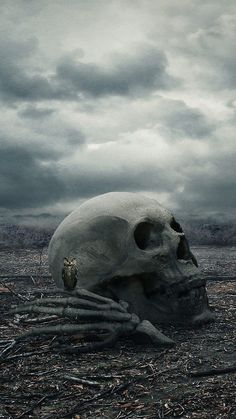 a large skull sitting in the middle of a field