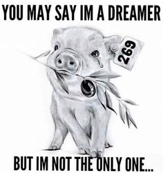 a black and white drawing of a pig holding a sign that says, you may say i'm a dreamer but i'm not the only one