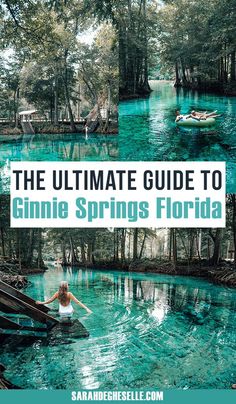 the ultimate guide to ginne springs florida