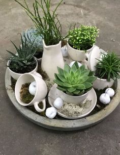 there are many potted plants in the bowl on the table top, including succulents and moss