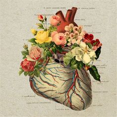 a drawing of a human heart with flowers inside