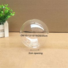 a clear glass ball sitting on top of a table next to a potted plant