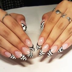 17+ Beautiful Ideas for Trending Zebra French Tip Nails Nail Designs Daily Zebra French Tip Nails, Zebra French Tip, Zebra Acrylic Nails, Zebra Stripe Nails, Zebra Nail Designs, Zebra Nail Art, Zebra Print Nails, Zebra Nails