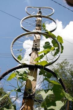 an old wooden pole with some plants growing out of it's sides and the sky in the background