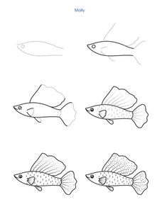 four different types of fish that are drawn in pencil and ink, each with an individual's own line drawing