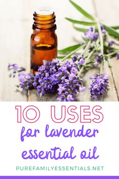 This lavender essential oil guide from Pure Family Essentials is the ultimate list for using lavender in many different ways! | lavender diffuser blends | uses for lavender essential oil | guide to using lavender essential oil | lavender essential oil uses Lavender Oil Uses, Lavender Oil Benefits, Lavender Uses, Lavender Benefits, Sleep Remedies