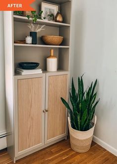 a plant in a pot sitting on top of a wooden floor next to a book shelf