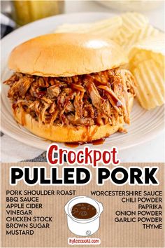 a pulled pork sandwich on a plate with potato chips