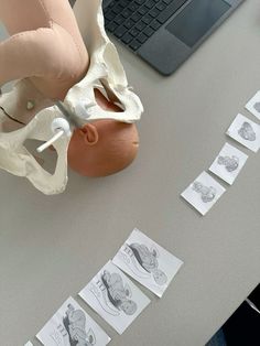 a dummy being held over by someone's hands on a table with papers and laptops