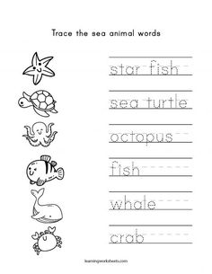 trace the sea animal words worksheet for kids to practice their handwriting and writing skills