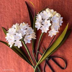 a bunch of white flowers sitting on top of a red cloth next to some scissors