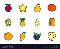 various fruits and vegetables on a white background