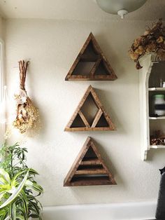 three wooden shelves are hanging on the wall next to a potted plant and cat