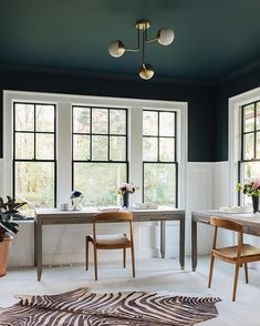 an instagram photo of a dining room with zebra rug