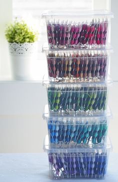 a stack of plastic containers filled with lots of different colored toothbrushes next to a potted plant