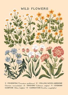 the wild flowers poster is shown in various colors and sizes, including oranges, yellows