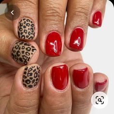 Leopard Print Nail Art, Print Nails, Fall Acrylic Nails, Get Nails, I Love Nails