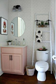 a white toilet sitting under a bathroom mirror next to a sink and a shelf filled with potted plants