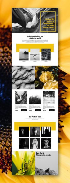 a yellow and black website design with sunflowers in the foreground, and an image of a woman's face