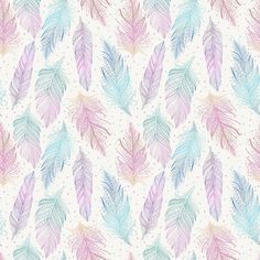 colorful feathers on a white background