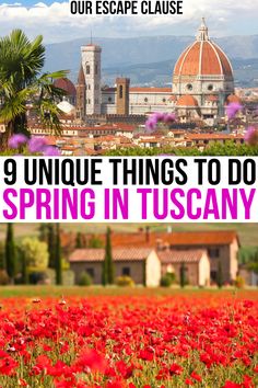 red flowers with the words 9 unique things to do in tuscany