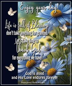 blue daisies and butterflies with the words, enjoy your day don't take anything for