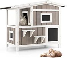 a cat is laying down next to a wooden house with windows and shelves on it