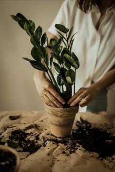 a woman holding a potted plant on top of a table