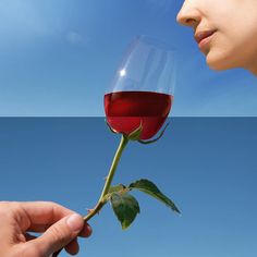 a person holding a rose in their hand with the sky and water behind them,