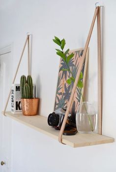 a shelf with some plants and other items on it