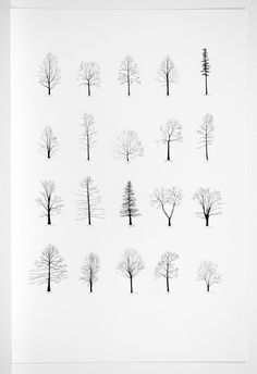 an image of trees drawn in black and white