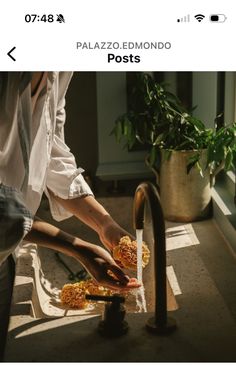 two people are preparing food on the counter in front of a window with sunlight streaming through them