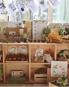 there are many plants and cards on the shelves