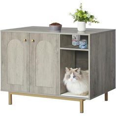 a cat sitting in a cabinet with its eyes open