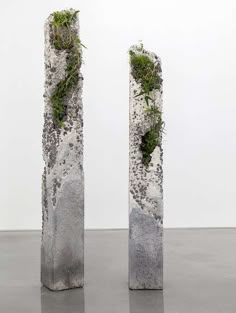 two tall concrete sculptures with moss growing out of the top, on a gray floor