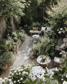 an outdoor garden with lots of plants and furniture