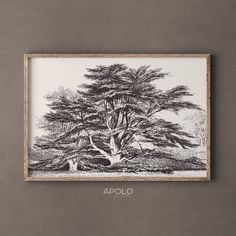 a black and white drawing of a tree in a wood frame on a gray wall