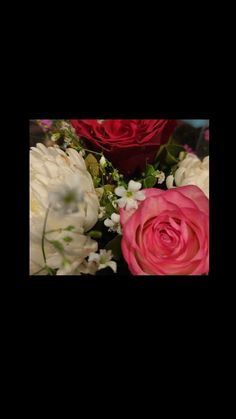 two pink roses are sitting next to each other with white flowers in the center and green leaves